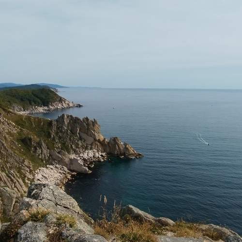 Photo #11456204