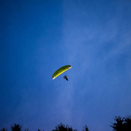 Photo #11456337