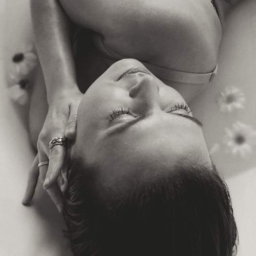 Photo #11456598