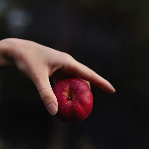 Фотография #11456663