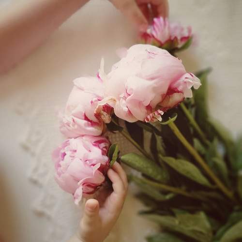 Photo #11456765