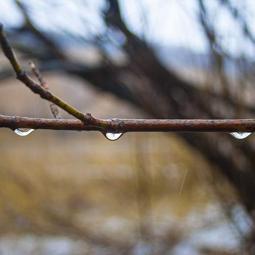 Photo #11457085