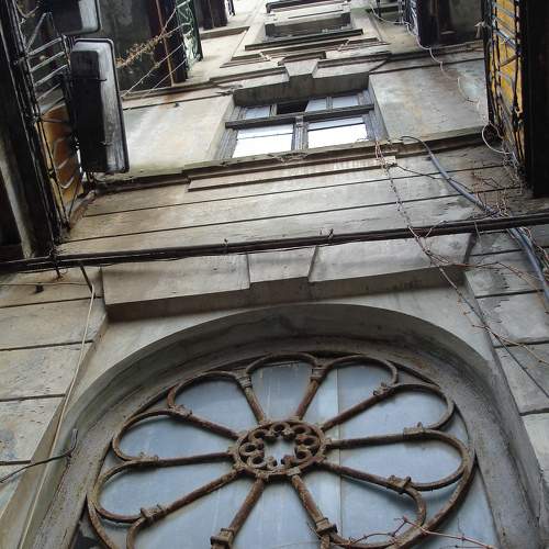 Photo #11457293
