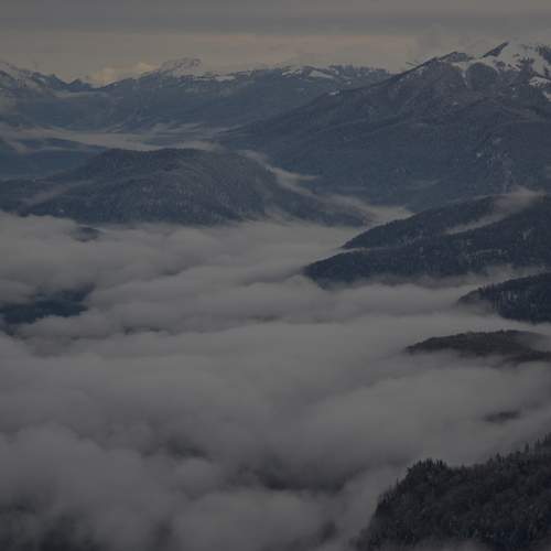 Photo #11457653