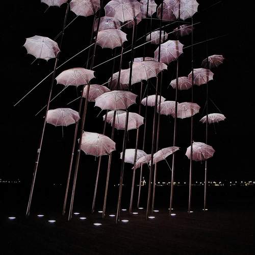 Photo #11457710