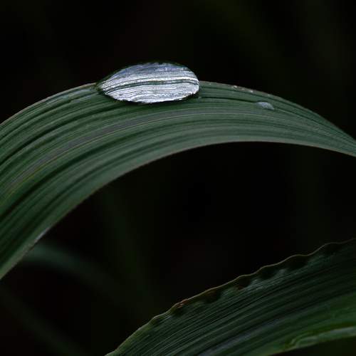 Одиночество