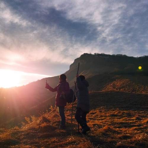 Photo #11457814