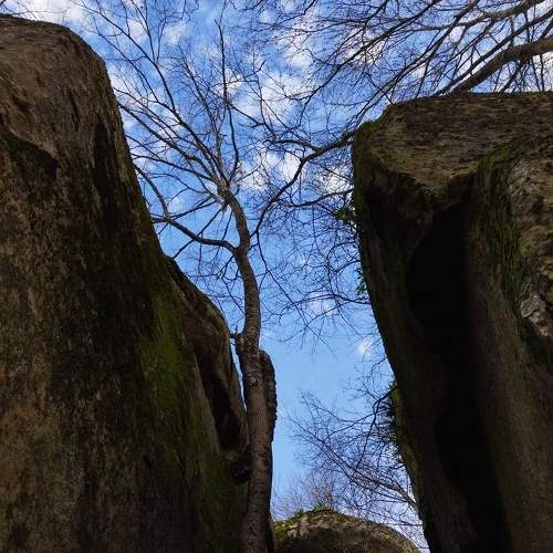Photo #11457823