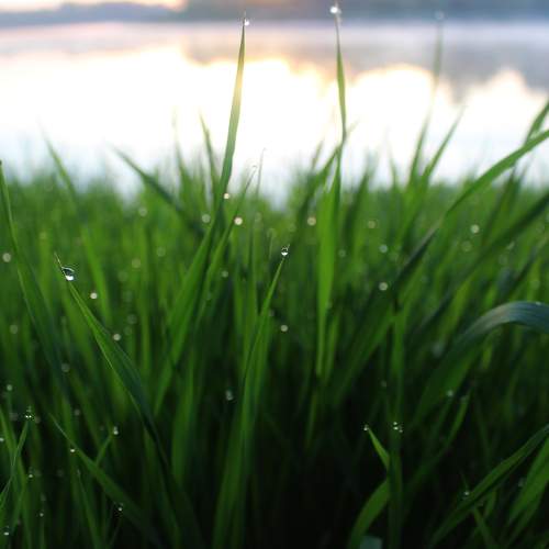 Photo #11457837