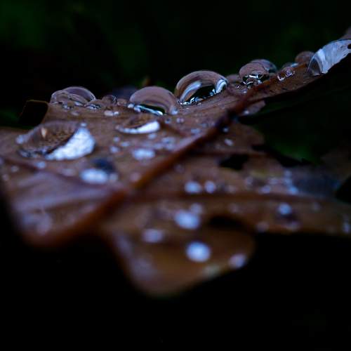 Photo #11457909