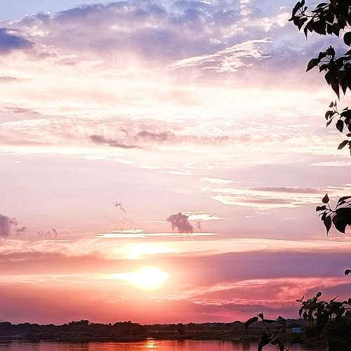 Photo #11458050