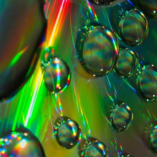 Photo #11458075