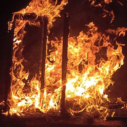 Photo #11458327