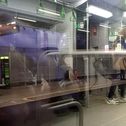 Photo #11458482