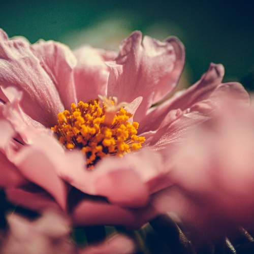 Photo #11458523