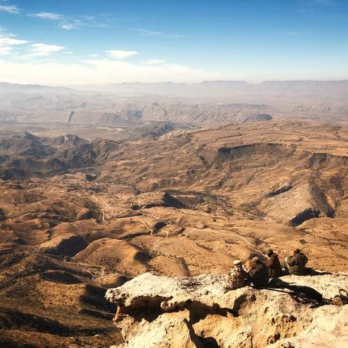 Photo #11458591