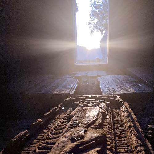 Photo #11458618