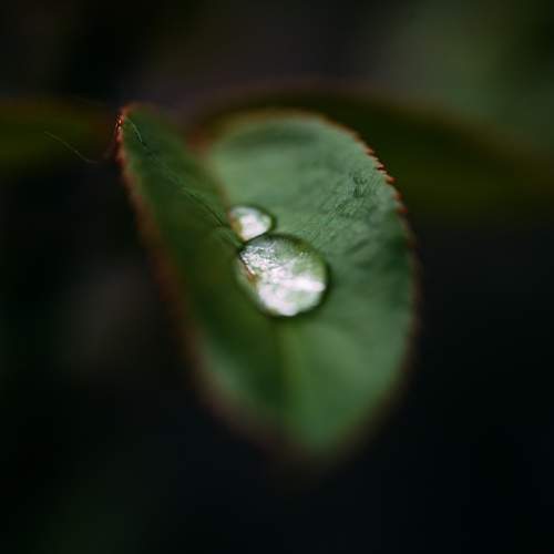 Photo #11458896