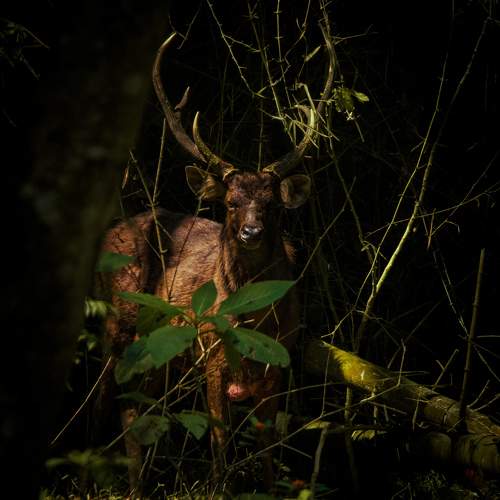 Photo #11458913