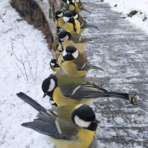 Photo #11458986