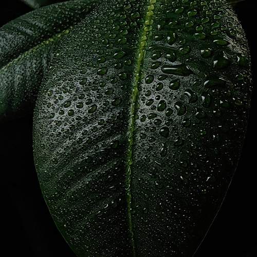 Photo #11459390