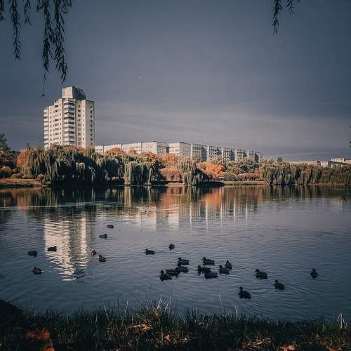 Photo #11459734