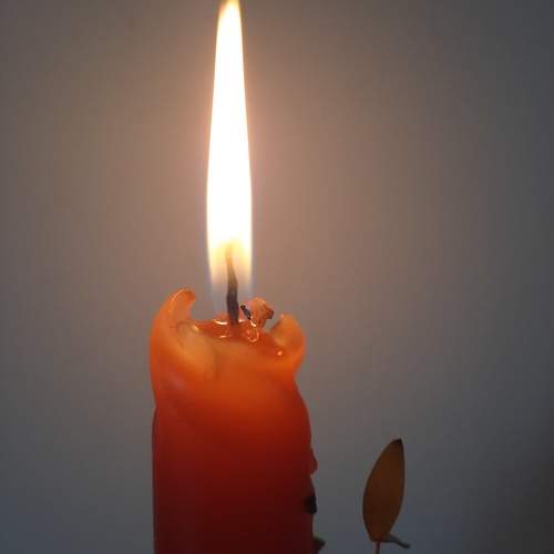 Photo #11459972