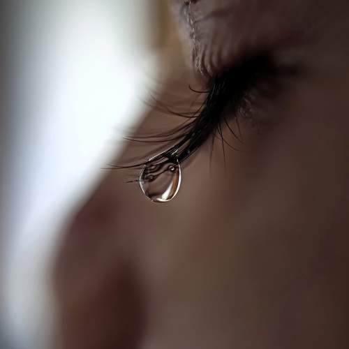 Photo #11460085