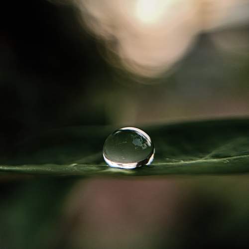 Photo #11460114