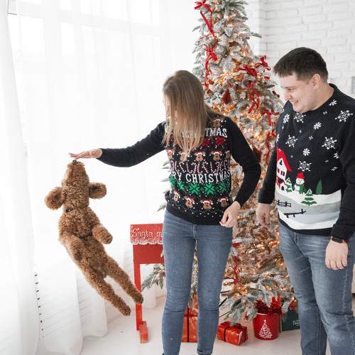 Photo #11460122