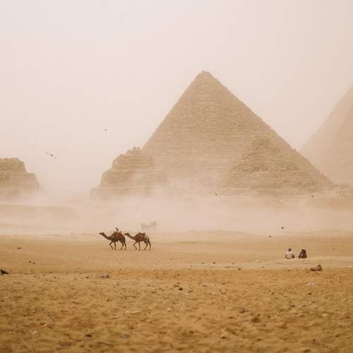 Photo #11460284