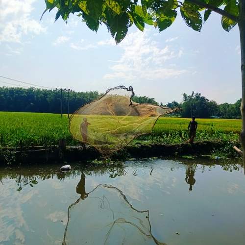 In Pursuit of livelihood