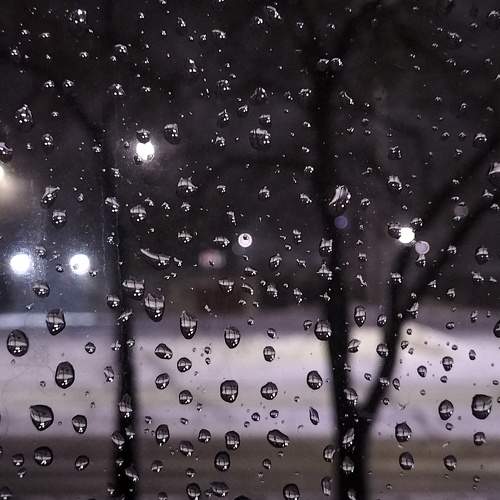 Photo #11460450