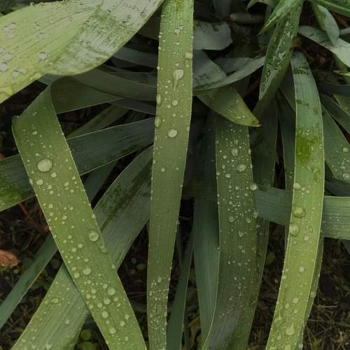 Photo #11460451