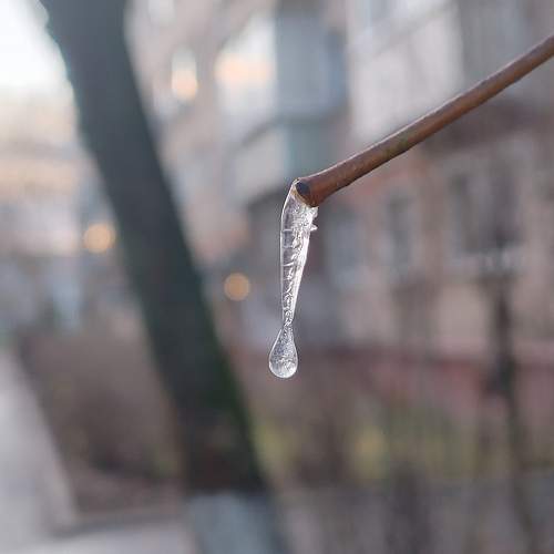 Photo #11460627