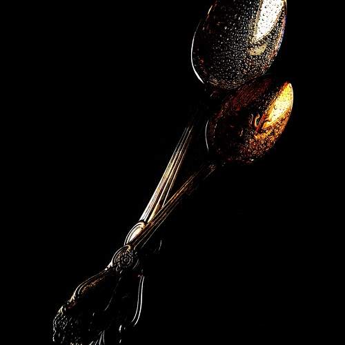 Photo #11460728