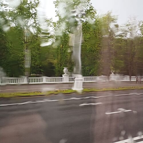 Photo #11461210
