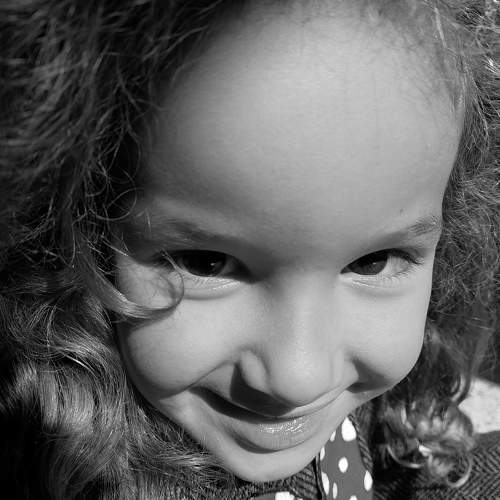 Photo #11461415