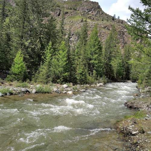 Photo #11461495