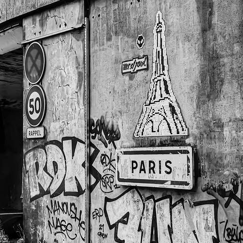 Photo #11461735