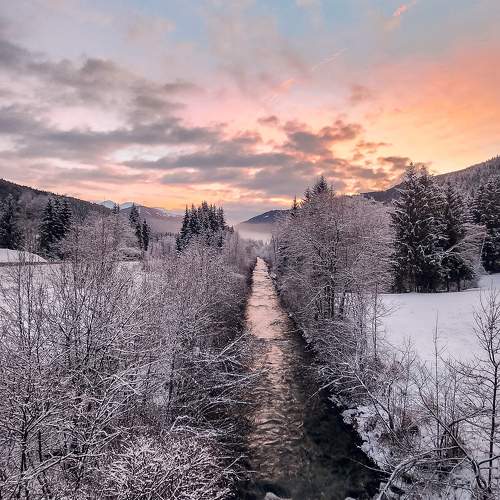Photo #11461763