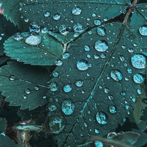 Photo #11461901