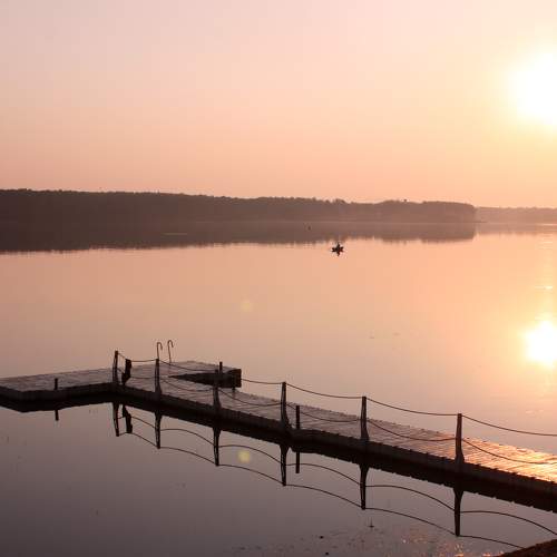 Photo #11461931