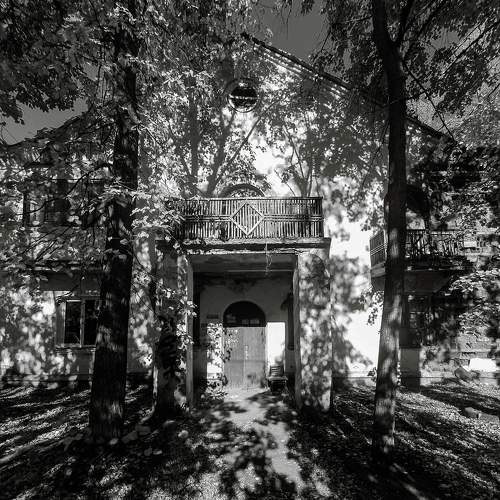 Photo #11462071
