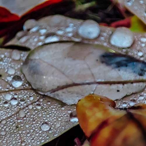 Photo #11462251