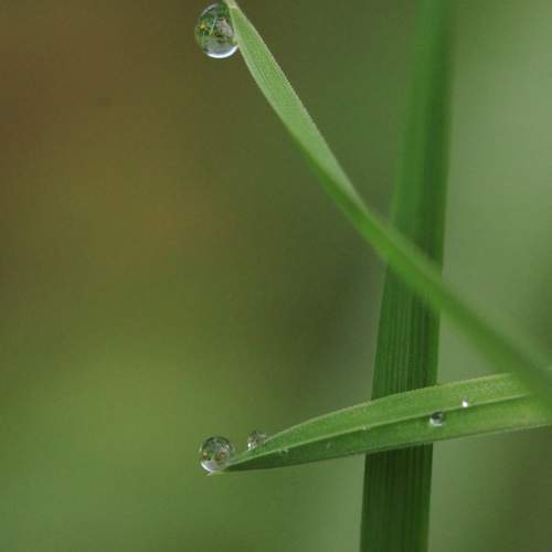 Photo #11462577