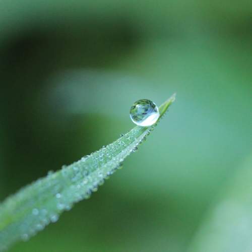 Photo #11462582