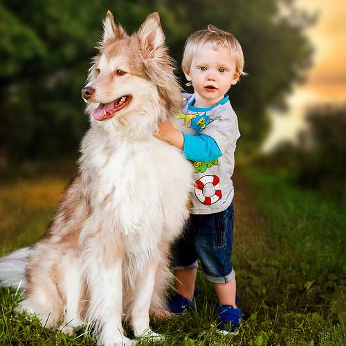 Photo #11462666