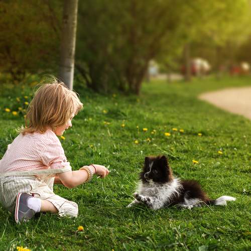 Photo #11462703