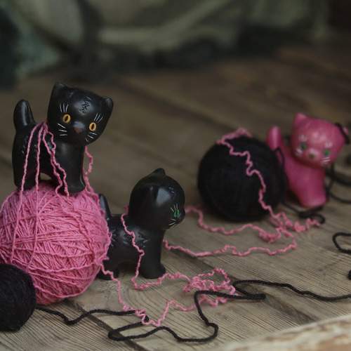Photo #11462813